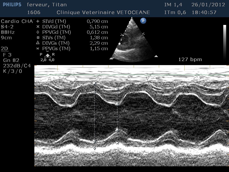 Cardiologie Vétocéane