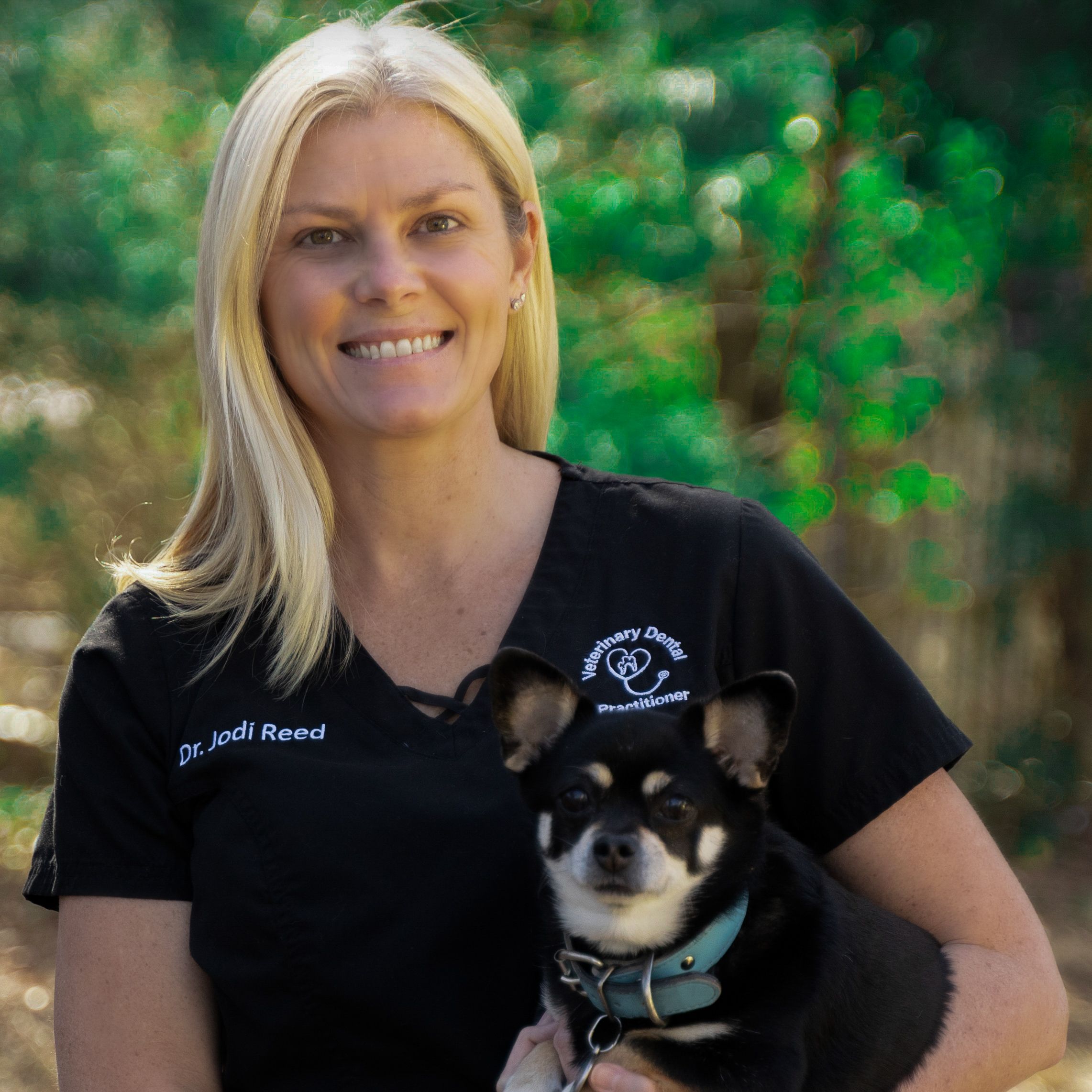 Two Day Canine and Feline Veterinary Dentistry VIRTUAL Wet Lab July