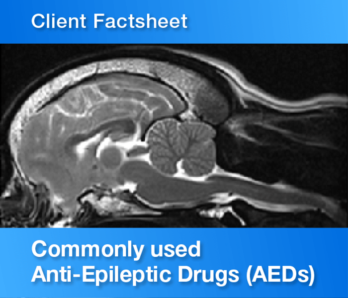 Antiepileptic drugs factsheet Vet Oracle