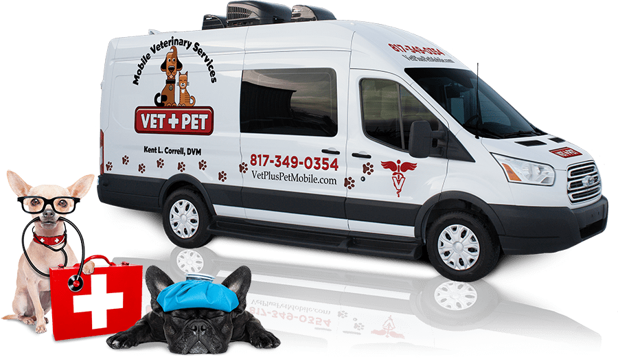 Vet Plus Pet Mobile Veterinary Services Compassionate pet care from