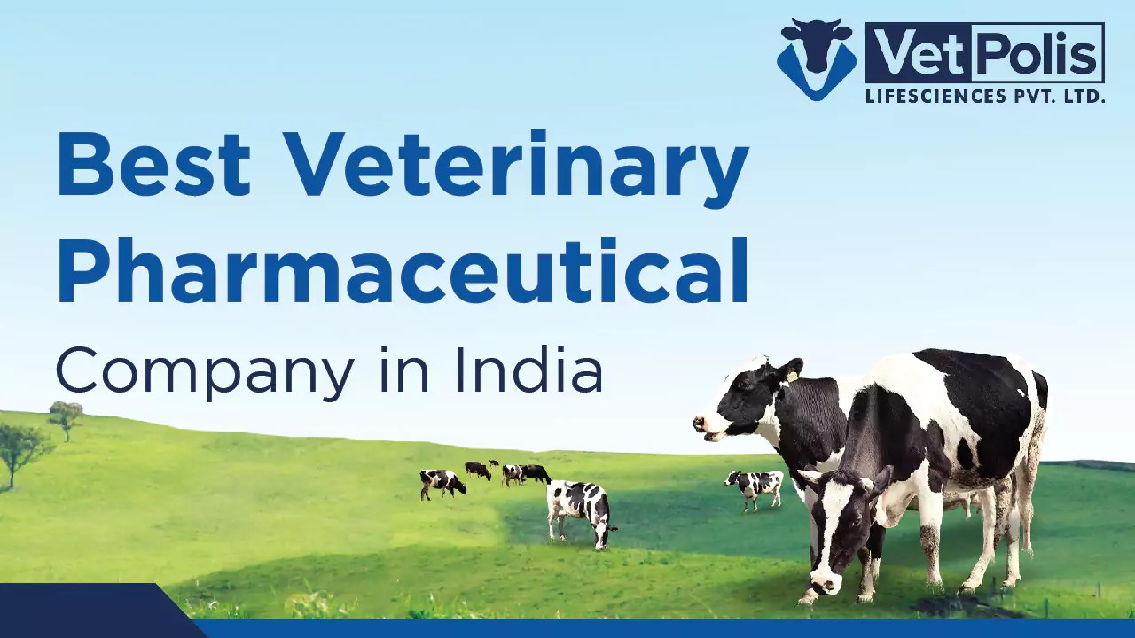 Reputed Veterinary Pharmaceutical Company in India