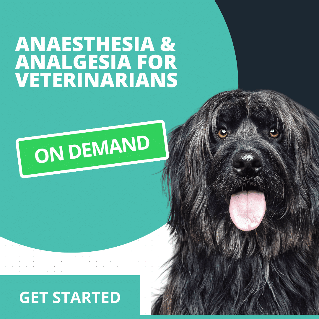 Anaesthesia & Analgesia for Veterinarians On Demand VetPrac