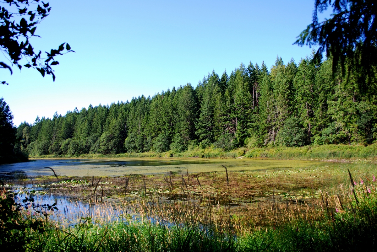 Free Lifetime National Park Pass for Veterans