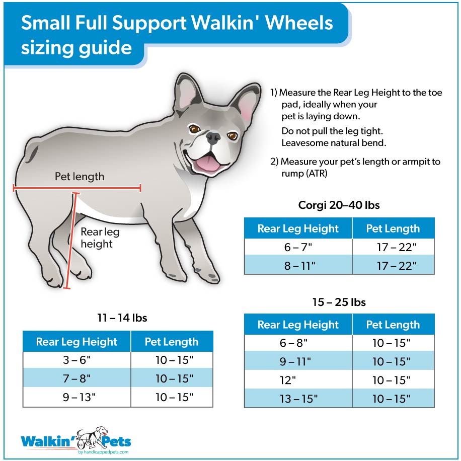 Dog Measurement Chart