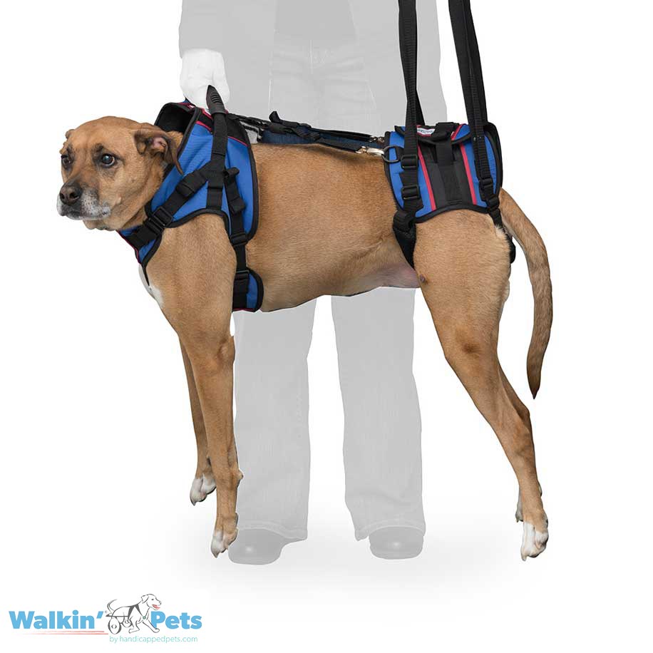 Walkin' Lift Combo Dog Harness Complete Lifting Harness