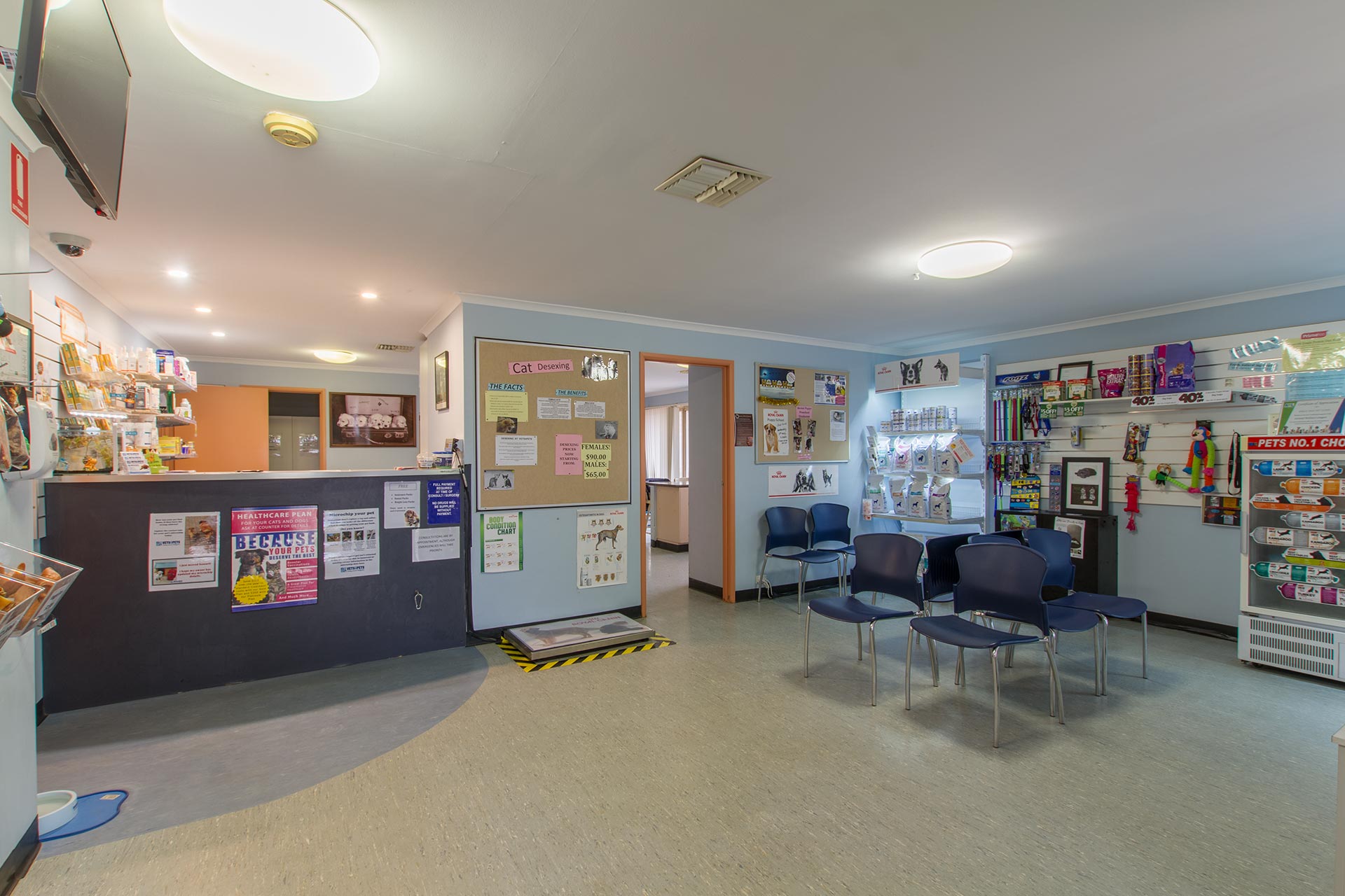 Angle Vale Vets4Pets Adelaide Vets