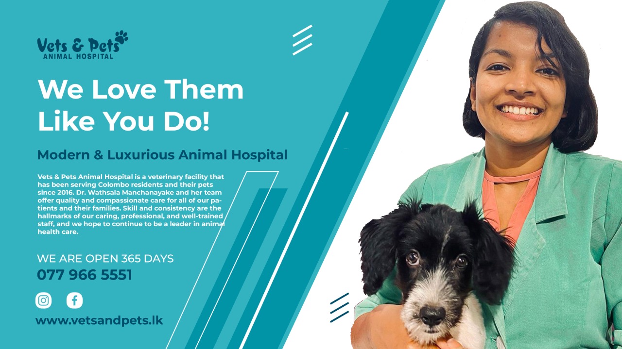 Contact Us Vets & Pets Animal Hospital