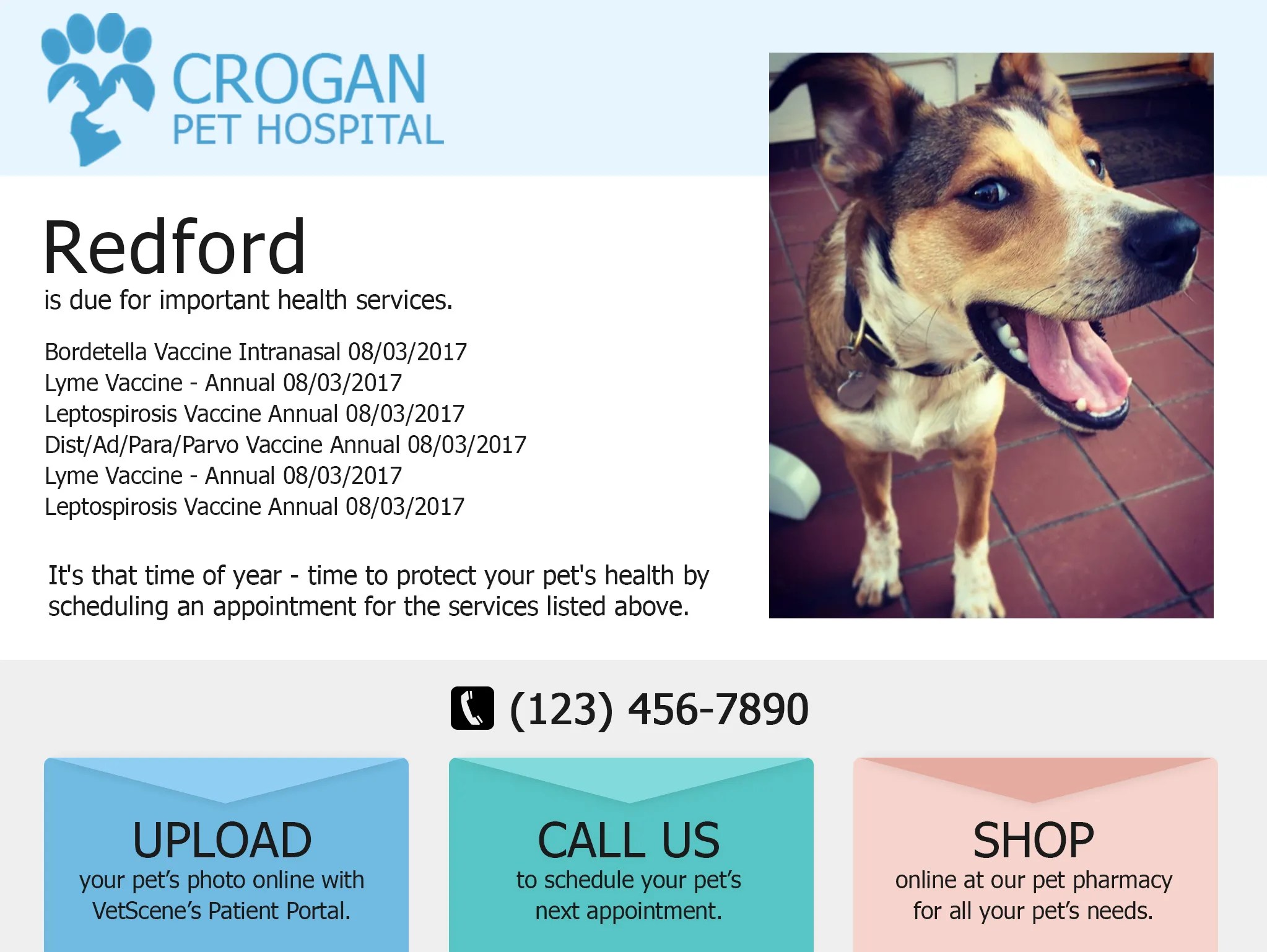 Postcard Reminders Vetscene, Inc.
