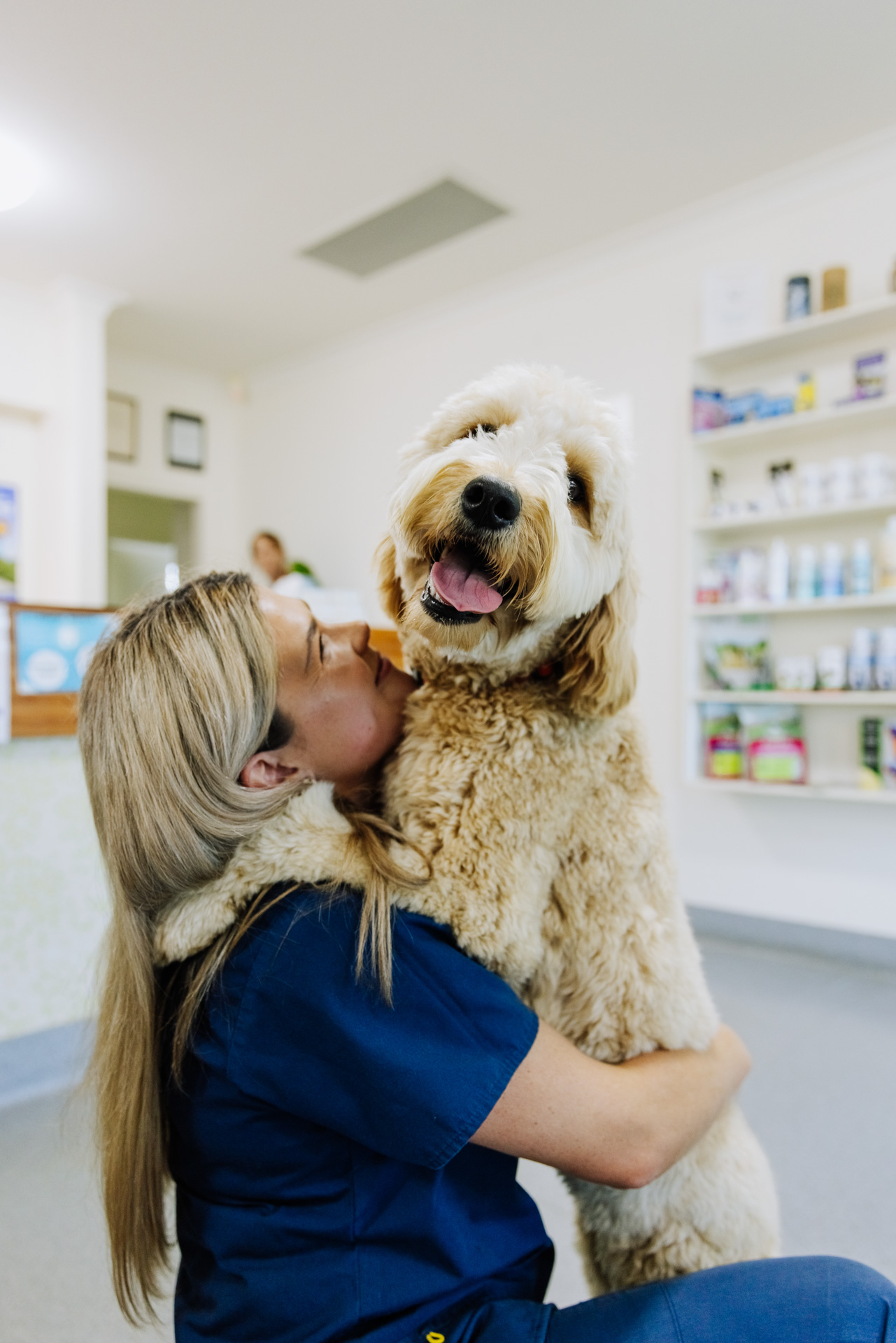 Pet examination Coffs and Toormina. Call Rose Av Vet 02 6652 1566