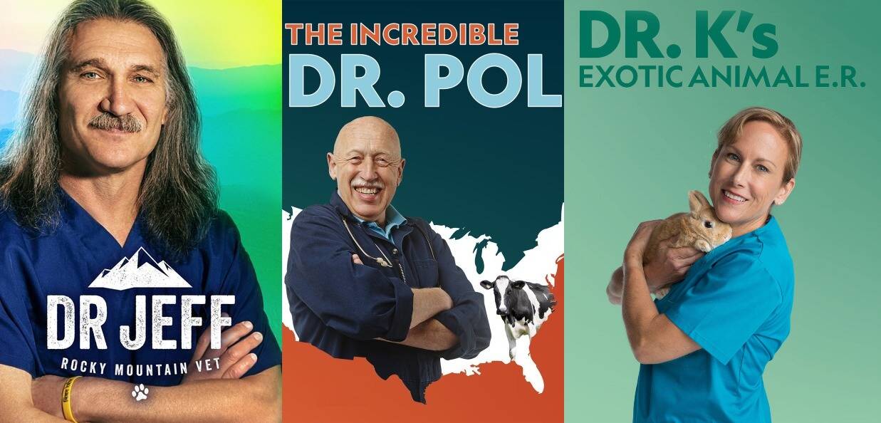 Vet Shows 11 Must Watch TV Shows for Pet Owners/Lovers Vetshows.