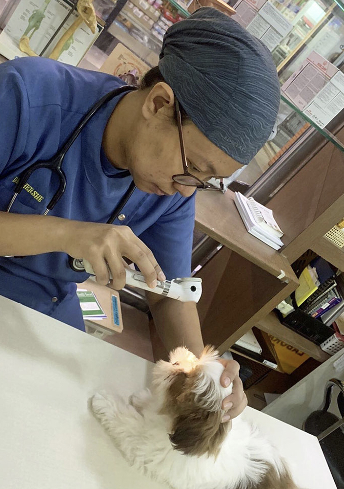 What Is Animal Care Specialist at Grace Hall blog