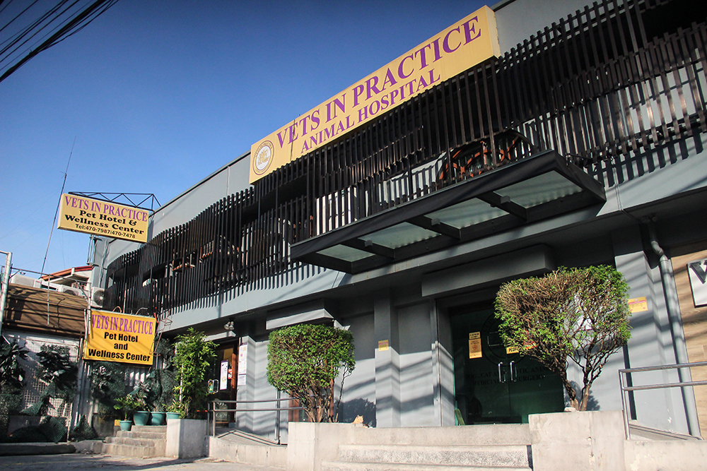 VIP Mandaluyong Vets in Practice