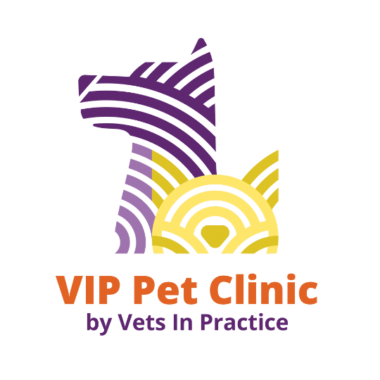VIP Pet Clinic Vets in Practice(04)