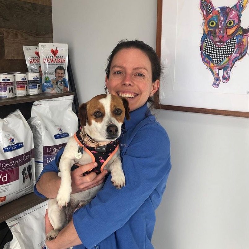 High Quality Premium Pet Food Vets of Geelong