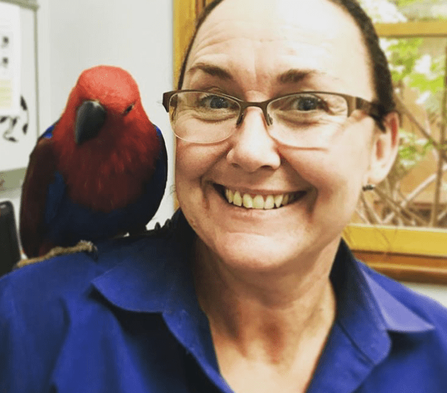 Small Animals & Bird Vet Near Geelong Vets of Geelong