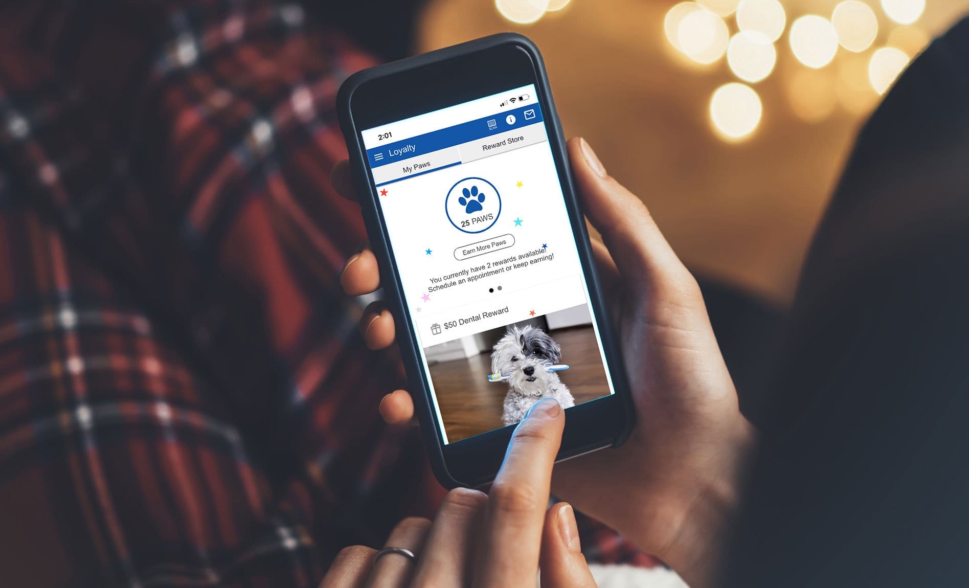 How Vet Practices Can Win With Loyalty Programs Vetsource