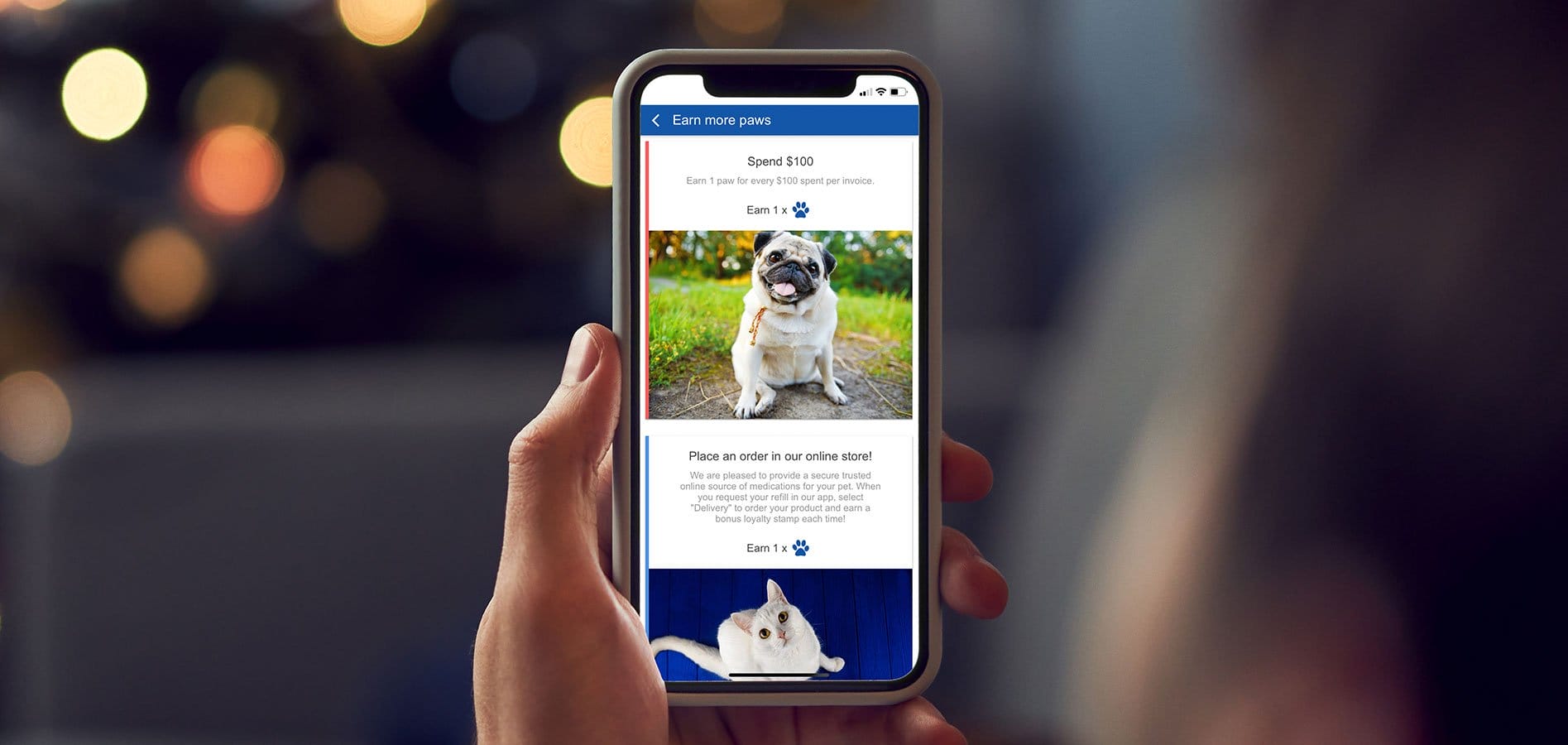 How Vet Practices Can Win With Loyalty Programs Vetsource