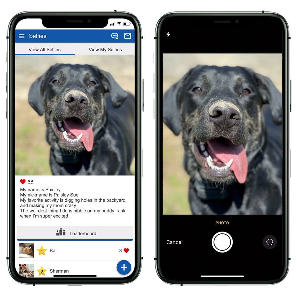 Rowan Animal Clinic Exceeds Their Goals With Vet2Pet Vetsource