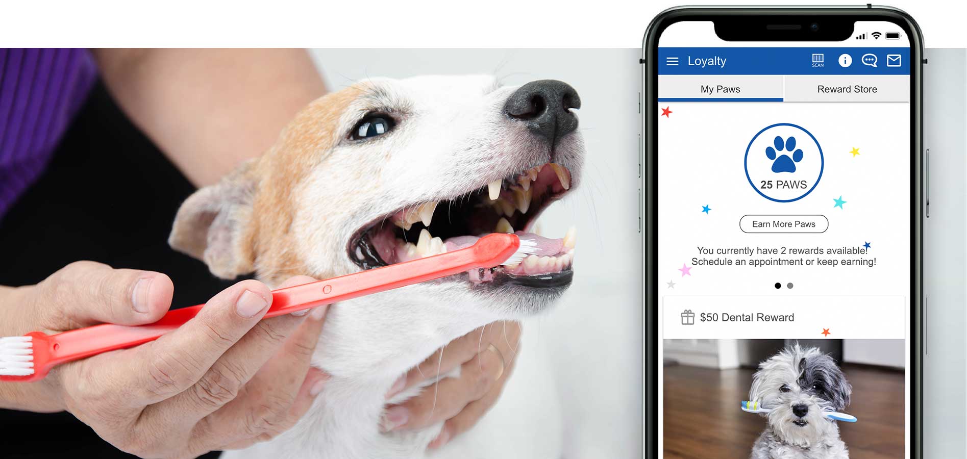 10 Ways to Enhance the Veterinary Client Experience Vetsource