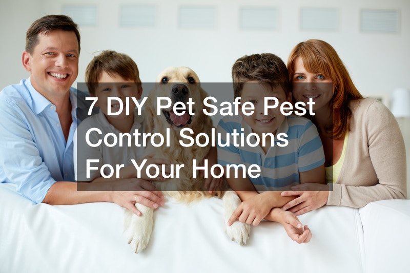 7 DIY Pet Safe Pest Control Solutions For Your Home Vets Pet