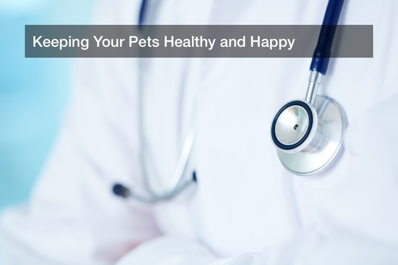 Keeping Your Pets Healthy and Happy Vets Pet