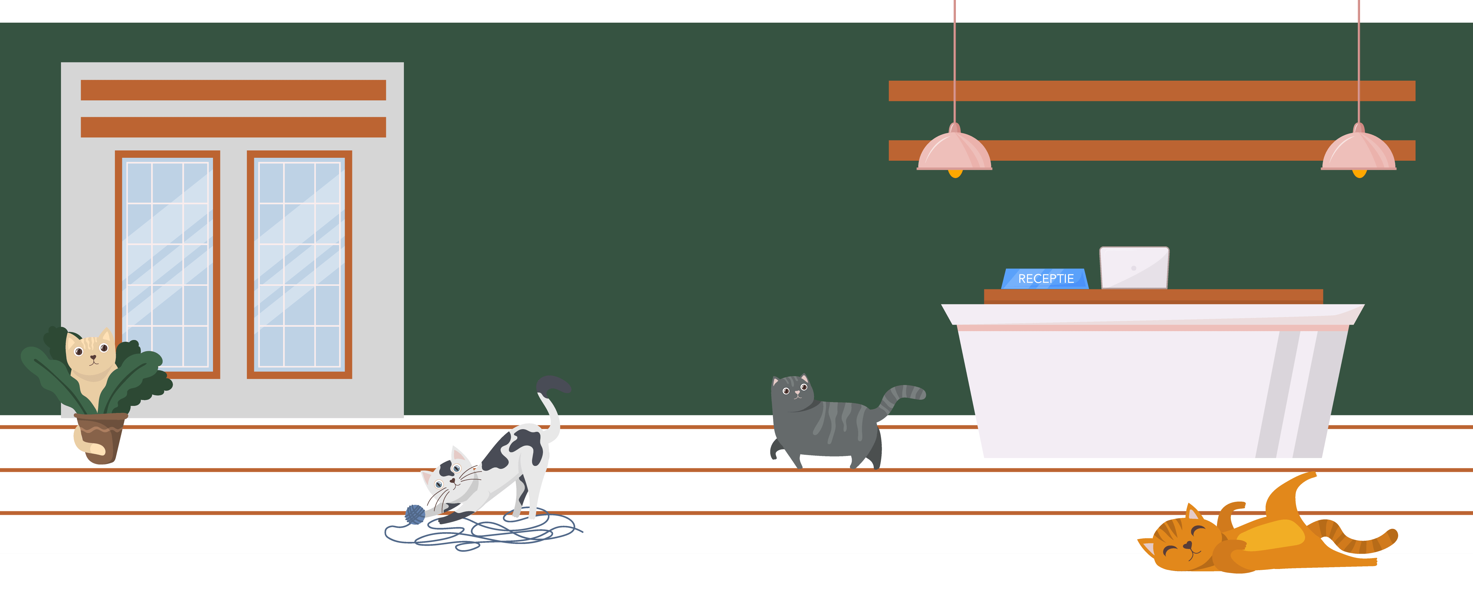 Cat hotel Vetspot Hotel pisici