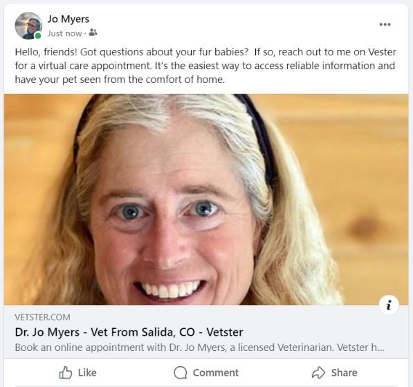 Give Your Clients a Personal Touch Vetster