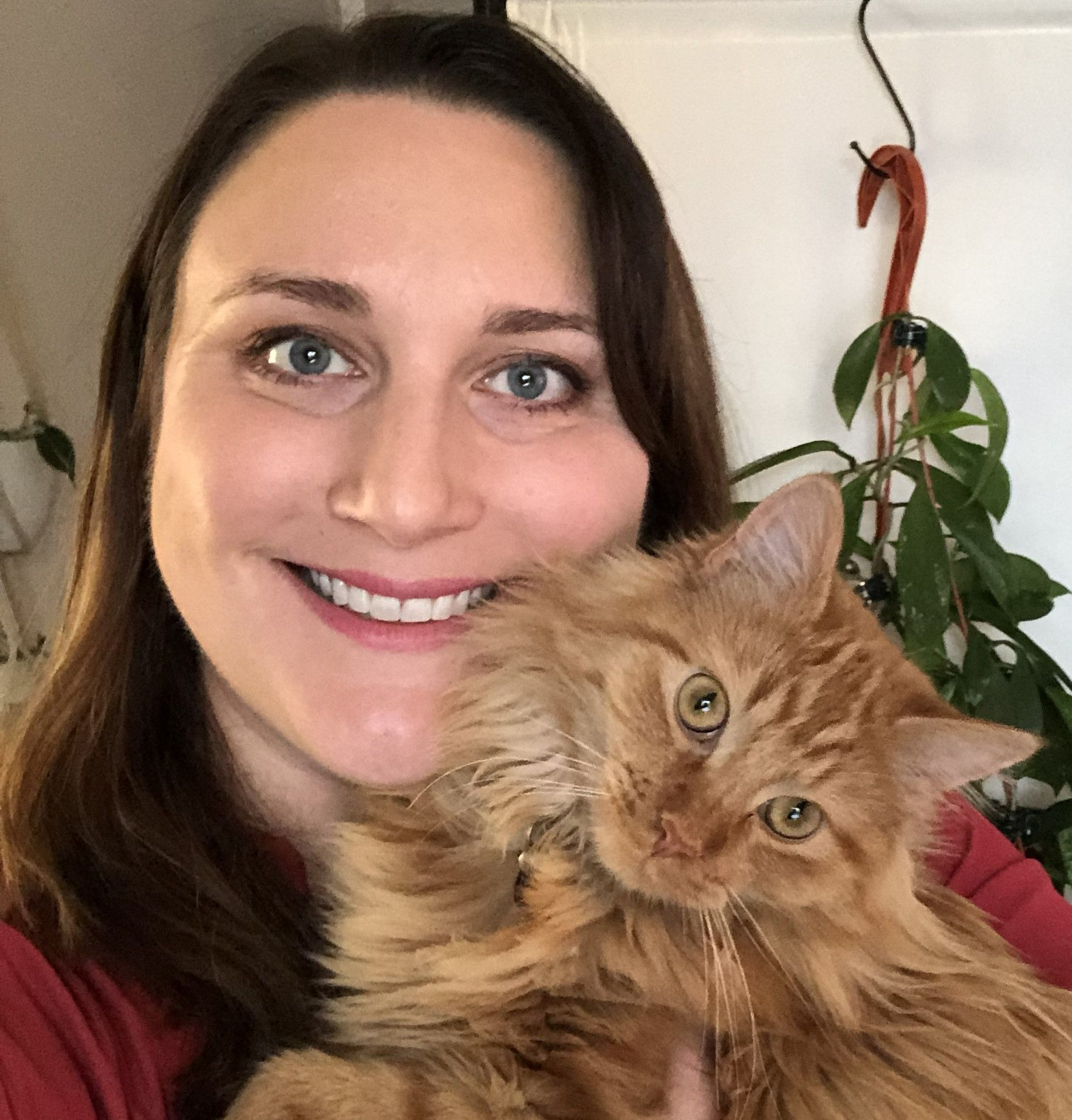 Increased Appetite (polyphagia) in Cats Causes, Treatment and