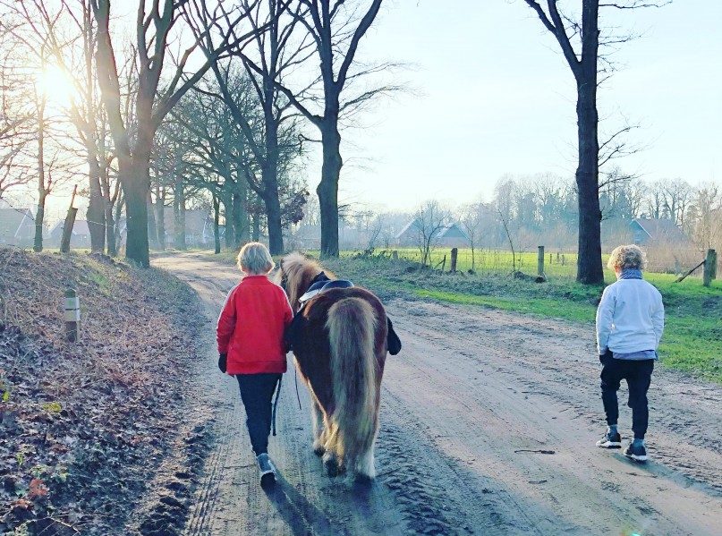 Stakingsdag? Check hier ons overzicht met leuke uitjes