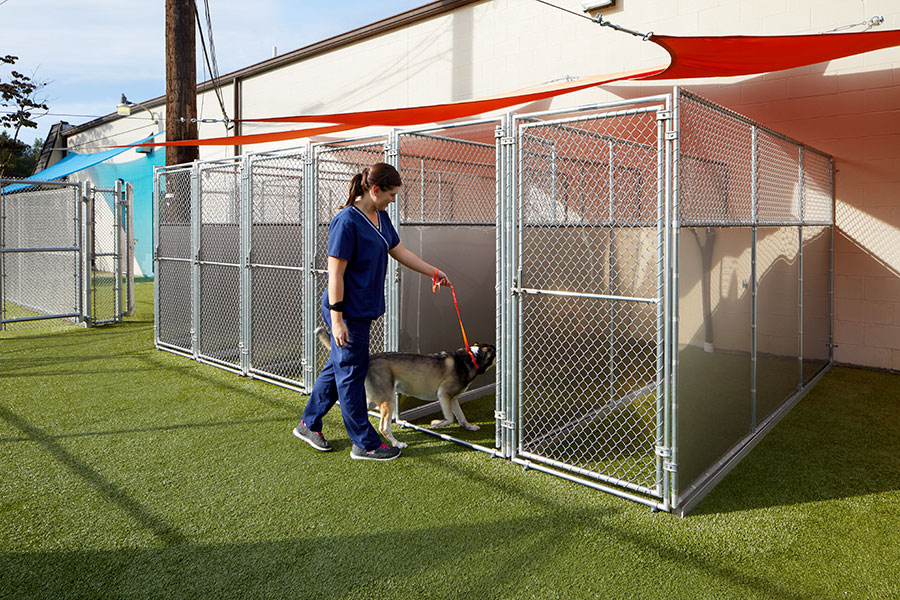 Boarding Vet in Akron Veterinary Wellness Center of Green
