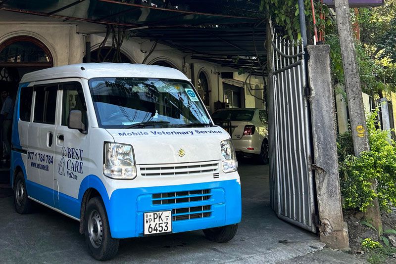 Home Best Care VetZone Animal Hospital