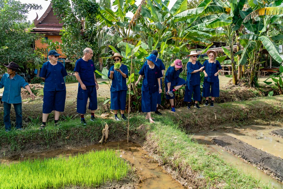 Be a Farmer for a day, grow your own rice Vexplore Tours