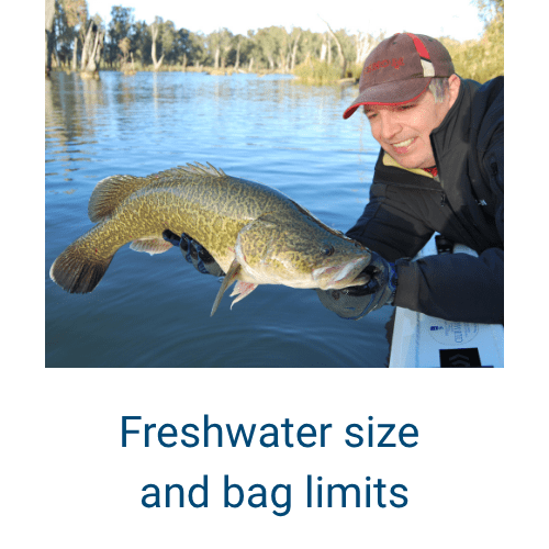 Recreational Fishing Guide VFA