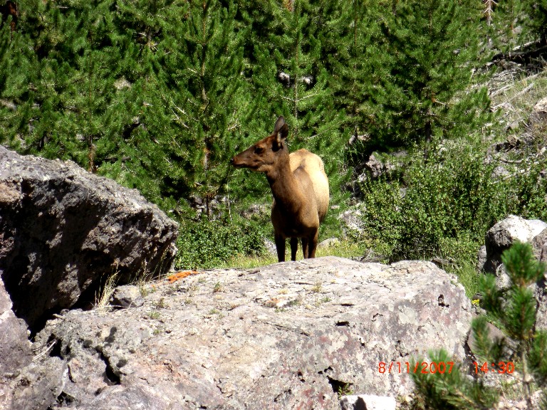 Joe\'s Weblog 2007 motorcycle trip.