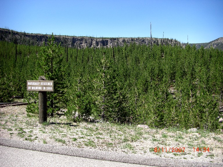 Joe\'s Weblog 2007 motorcycle trip.