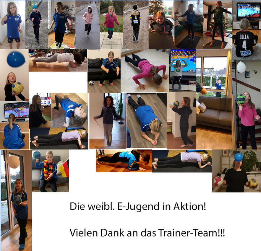 Handball VfL Sindelfingen 1862 e.V.