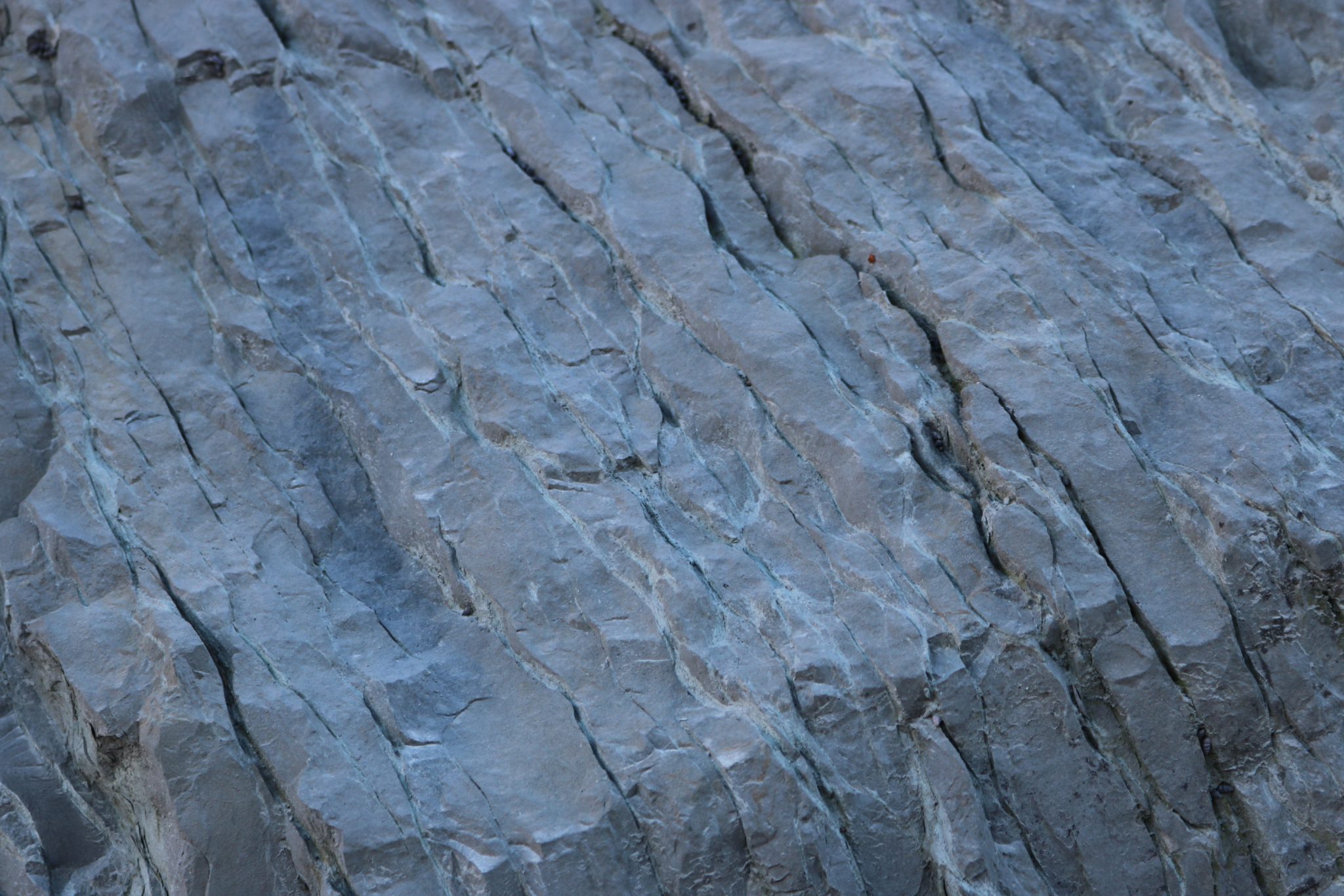Kalksteine VFMG