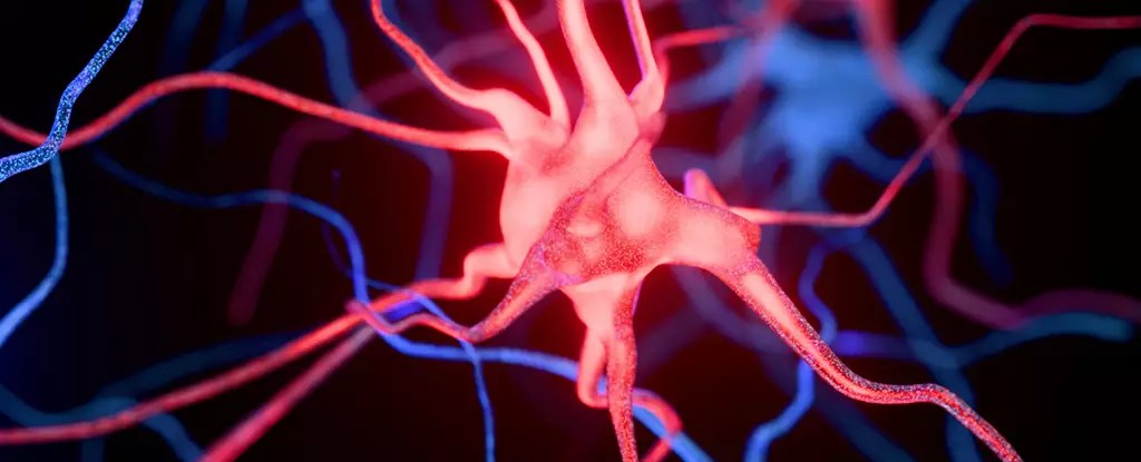 The Hidden Threat: Microplastics and the Accelerated Risk of Alzheimer’s Disease