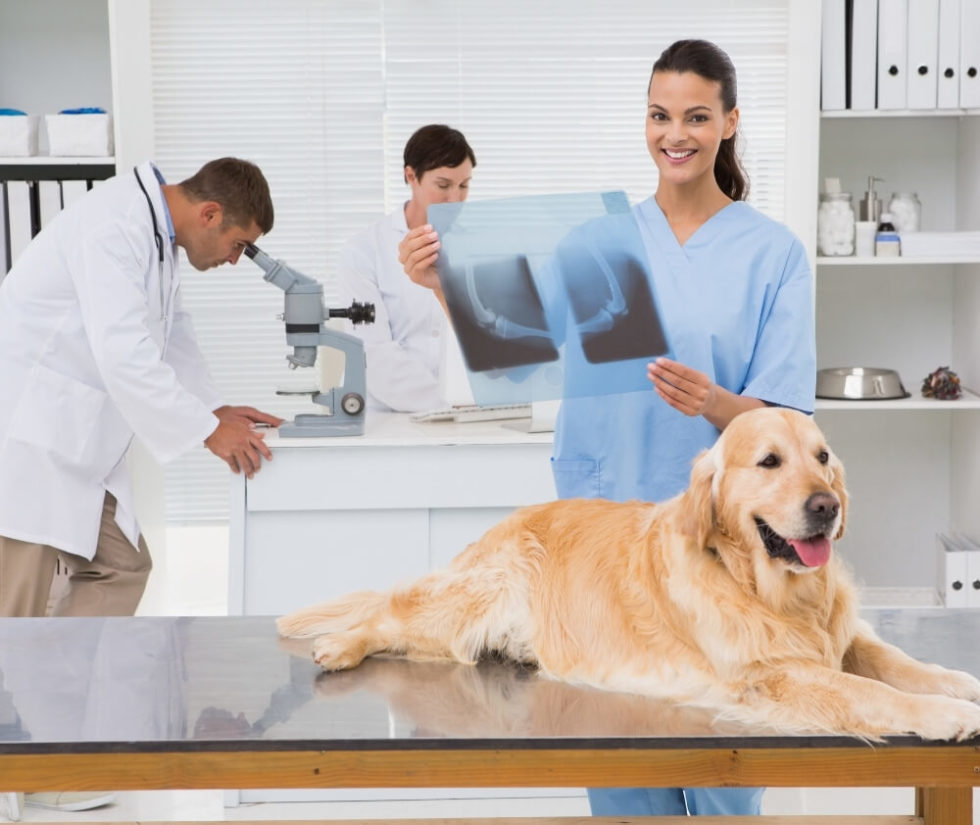 Interesting Radiographs Mundelein, IL 60060 Vernon Hills