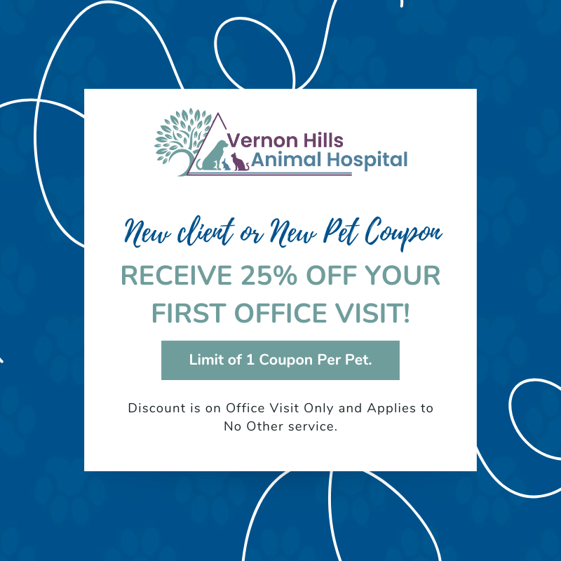 Best Veterinary Hospital in Mundelein, IL Vernon Hills Animal Hospital