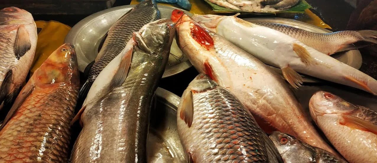 Online Fish Meat Shop at DhakaBangladesh VHANI GROUPSECURITY