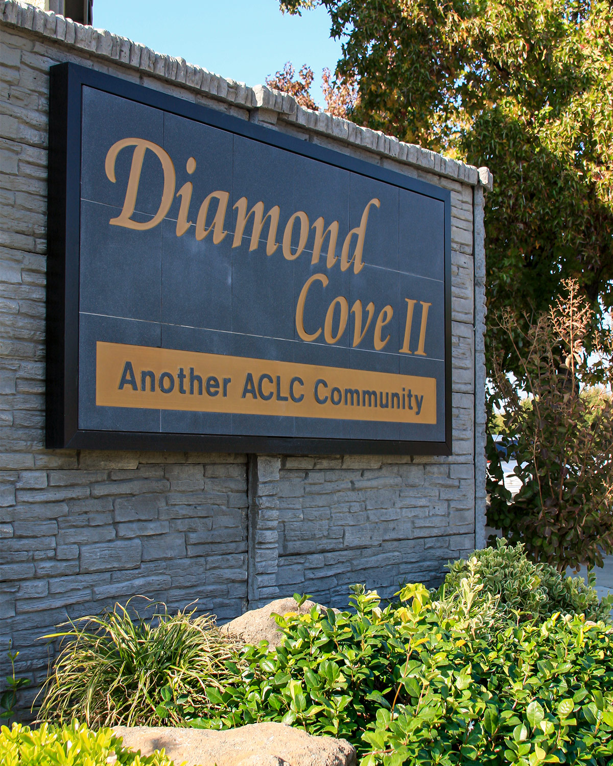 Diamond Cove Townhomes II Visionary Home Builders