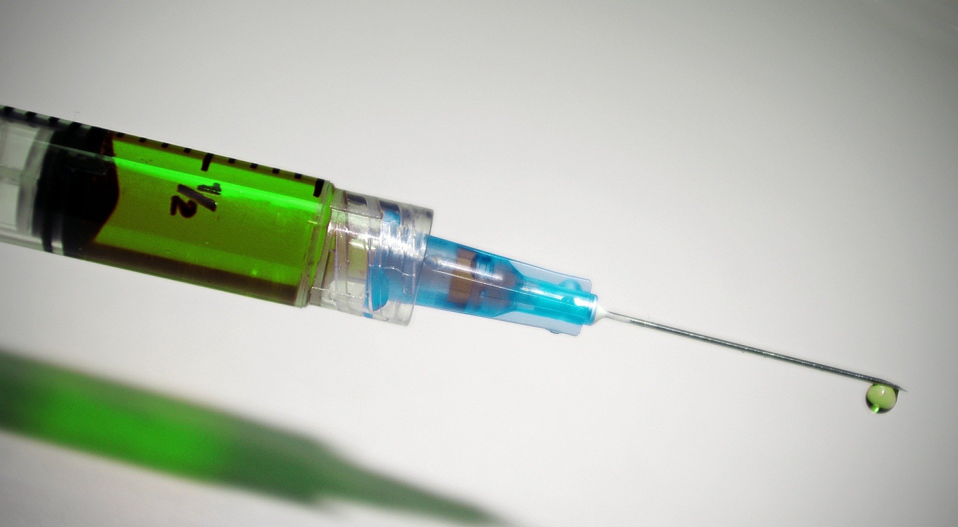 Animal Euthanasia - Not Just When, But How And Why - Vet Help Direct