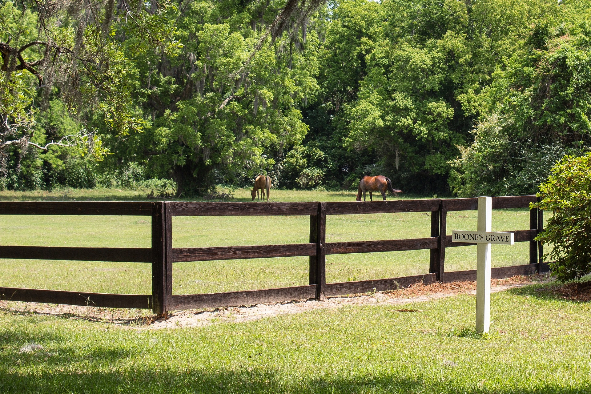 Can You Bury A Horse On Your Property In Ohio at William Huot blog