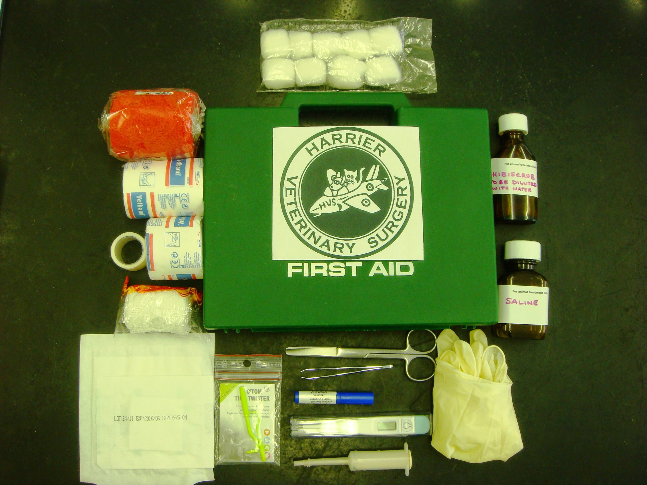 What do I need in a pet first aid kit? Vet Help Direct