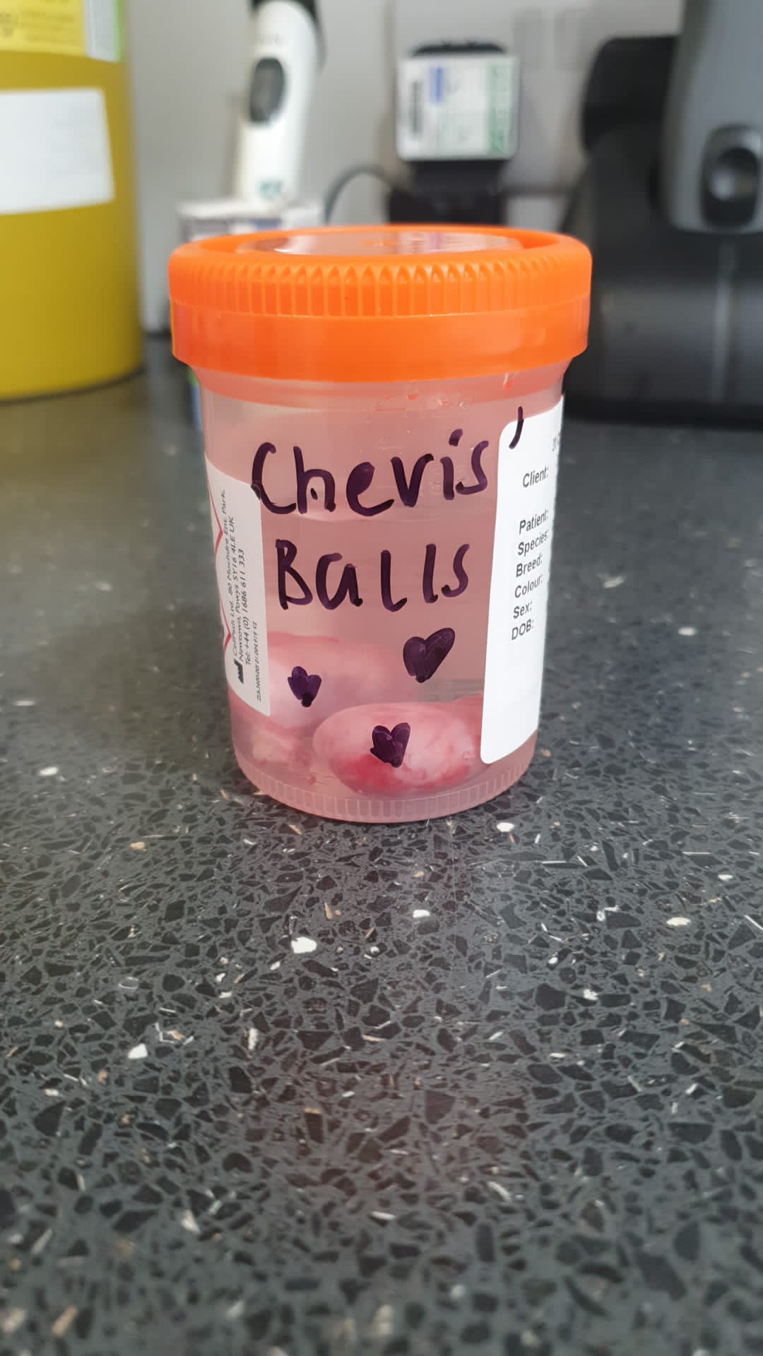 Can I take my pet’s testicles home after he’s neutered? Vet Help Direct