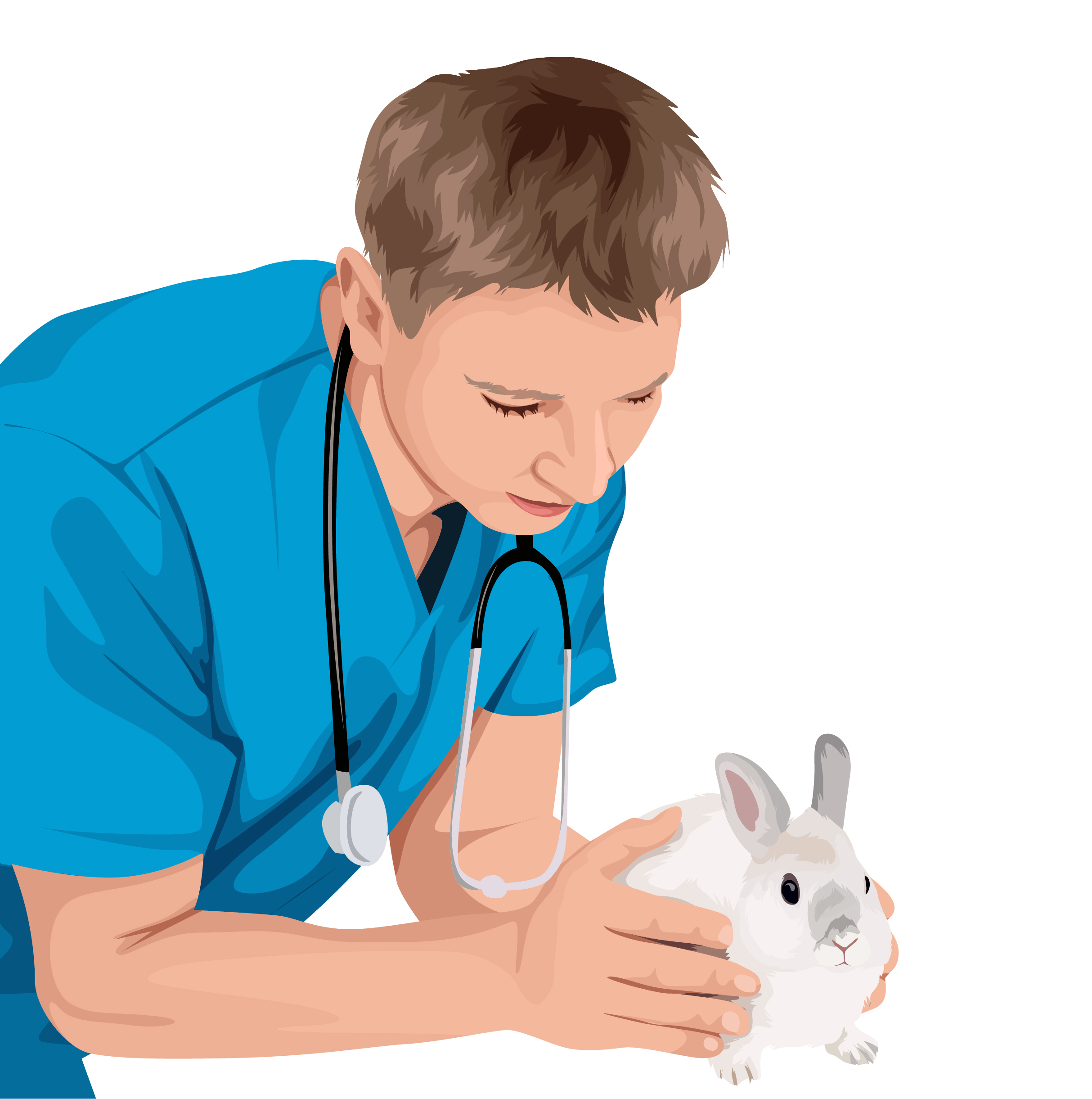 Why is my rabbit scared of me? Vet Help Direct