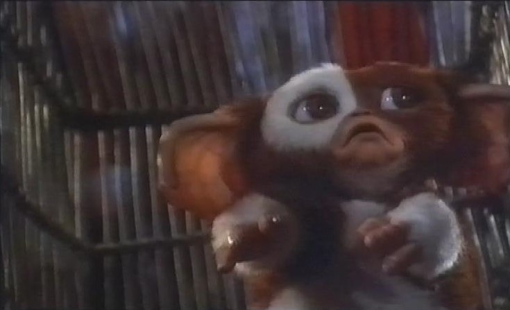 The Best Does Gizmo Die In Gremlins Ideas