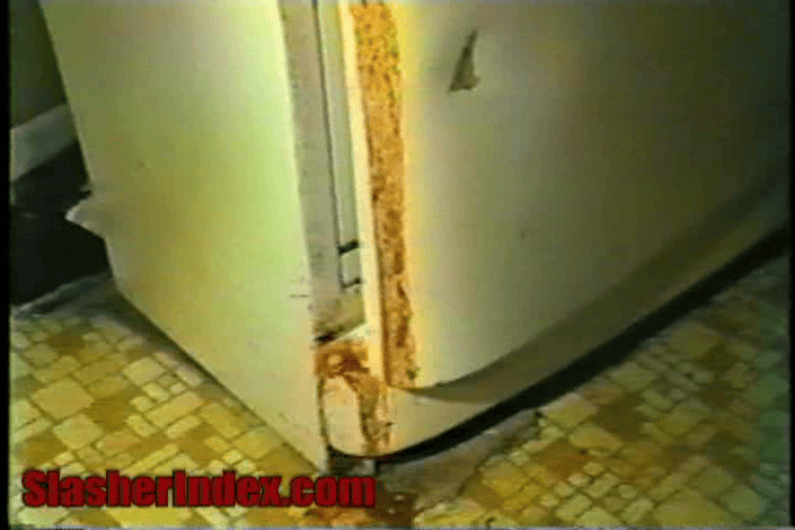Attack of the Killer Refrigerator / The Hook of Woodland Heights