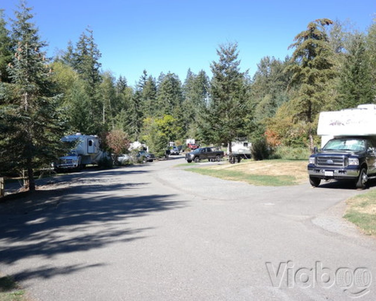 Alder Lake Campground